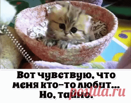 Я бы кормила его без остановки!!!
