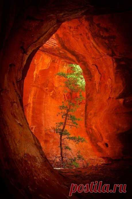(13) Boynton Canyon, Arizona - Woodworking Tips