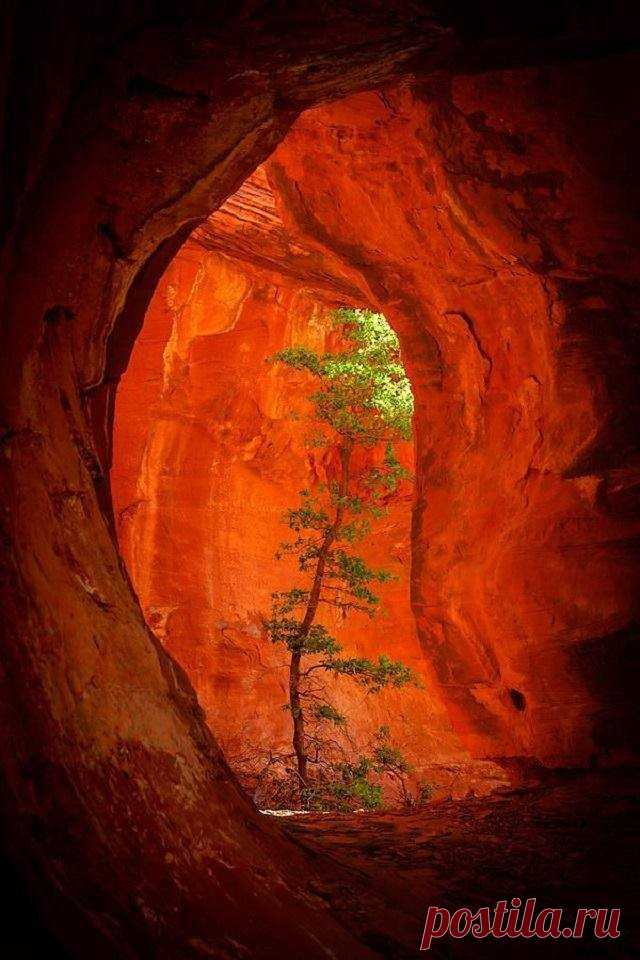 (13) Boynton Canyon, Arizona - Woodworking Tips