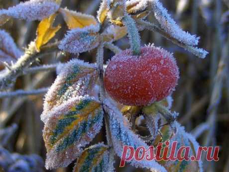 Фотографии / в Кругу Друзей - социальная сеть