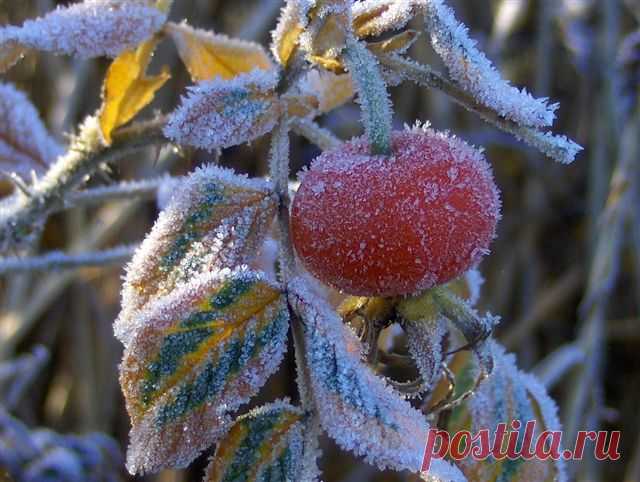 Фотографии / в Кругу Друзей - социальная сеть