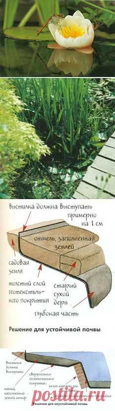 Как создать живой дачный пруд | Дача - впрок