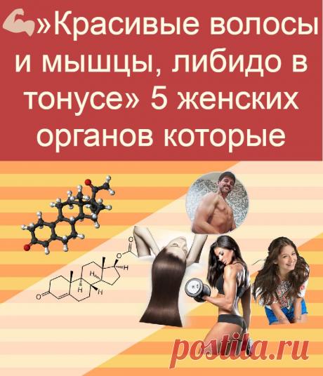 »Красивые волосы и мышцы, либидо в тонусе» 5 женских органов которые могут пострадать при дефиците тестостерона