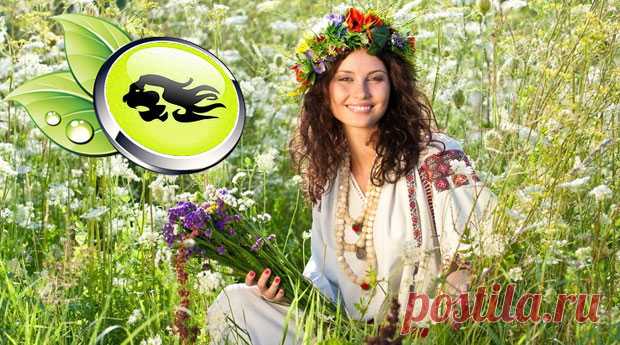 Здоровье Льва | Здоровье и красота в домашних условиях