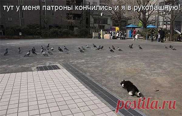 И тут у меня патроны кончились и я пошел в рукопашную "