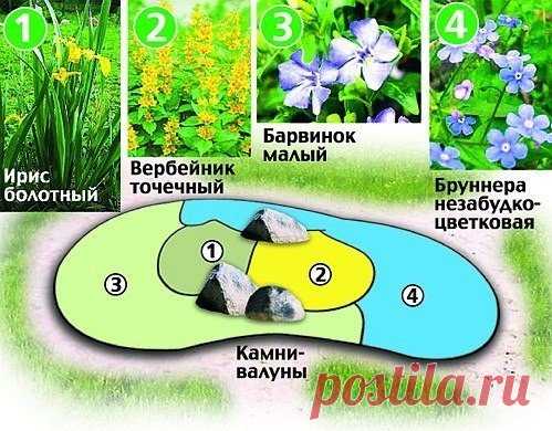 Фотографии на стене сообщества | 32 841 фотография | ВКонтакте