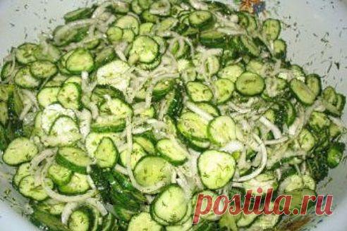 Салаты из огурцов на зиму — чесночные свежие хрустящие огурчики. 
Сырой салат из огурцов на зиму заинтересует тех, кто любит похрустеть свежими овощами. Салат их хрустящих кусочков огурцов, сладкого лука, пикантного остренького чеснока, замаринованные в небольшом количестве уксуса и совсем без тепловой обработки.

Консервантом в этом рецепте будет чеснок и уксус. Благодаря этому, вкус овощей сохраняется натуральным, и зимой салат будет пахнуть почти как из свежих огурцов. ...