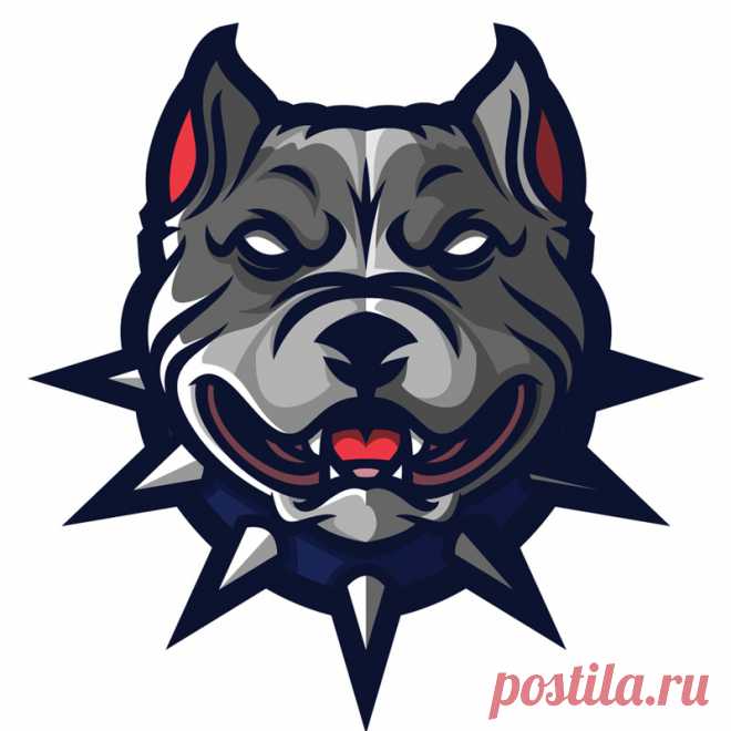 Аватарка питбуль в ошейнике. Эту и другие картинки и фото на аву высокого качества вы можете скачать на нашем сайте.
