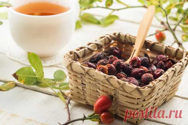 Иммунитет – что нужно знать