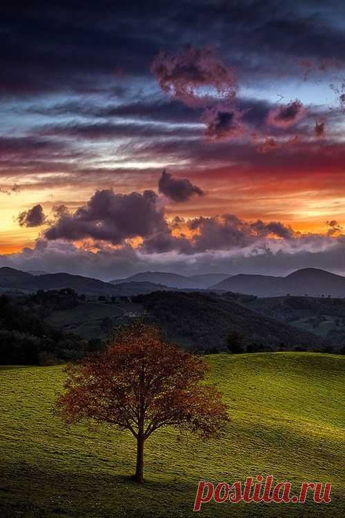 Tree and Sky by Rossana Dazzi | Tree & Path
