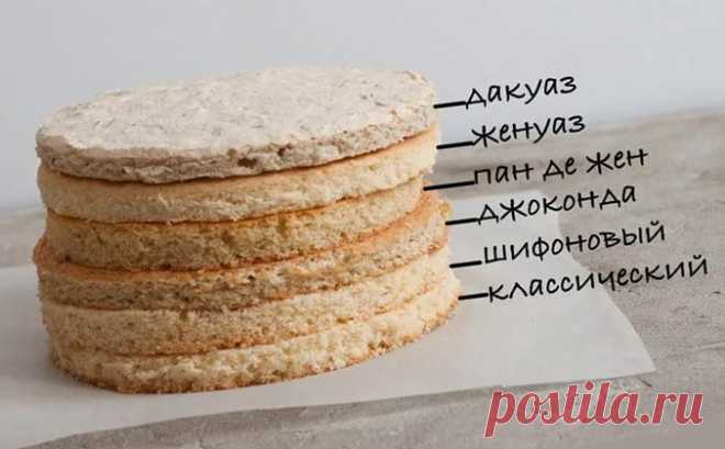 Виды бисквитов: Классический, Шифоновый, Женуаз, Дакуаз, Джоконда, Пан де жён