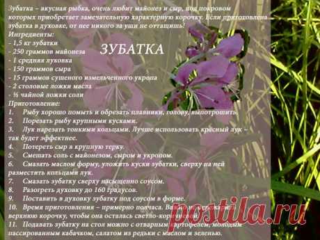 Рецепты - Зубатка