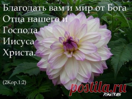 34.jpeg (500×374)
