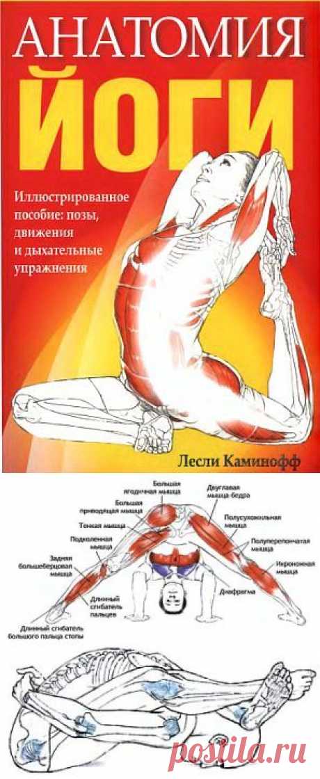 Книга: Анатомия йоги