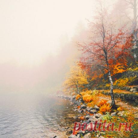 (1) Фототерапия