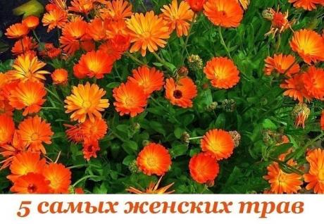 (60) Одноклассники