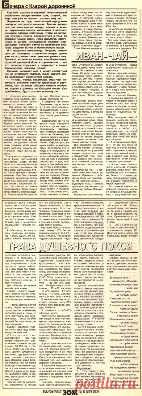 Кипрей (иван-чай) - трава душевного покоя