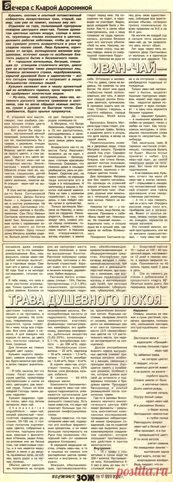 Кипрей (иван-чай) - трава душевного покоя