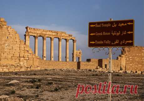 Здесь были варвары: Как выглядит освобожденная Пальмира — Meduza