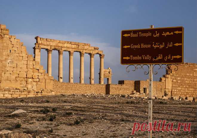 Здесь были варвары: Как выглядит освобожденная Пальмира — Meduza