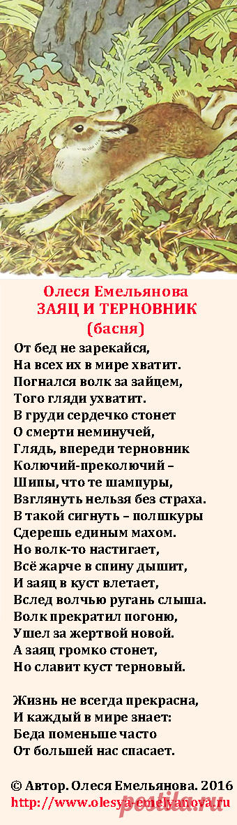 Олеся Емельянова. Заяц и терновник. Басня Олеси Емельяновой о выборе между двух зол, о спасении и жертвах.