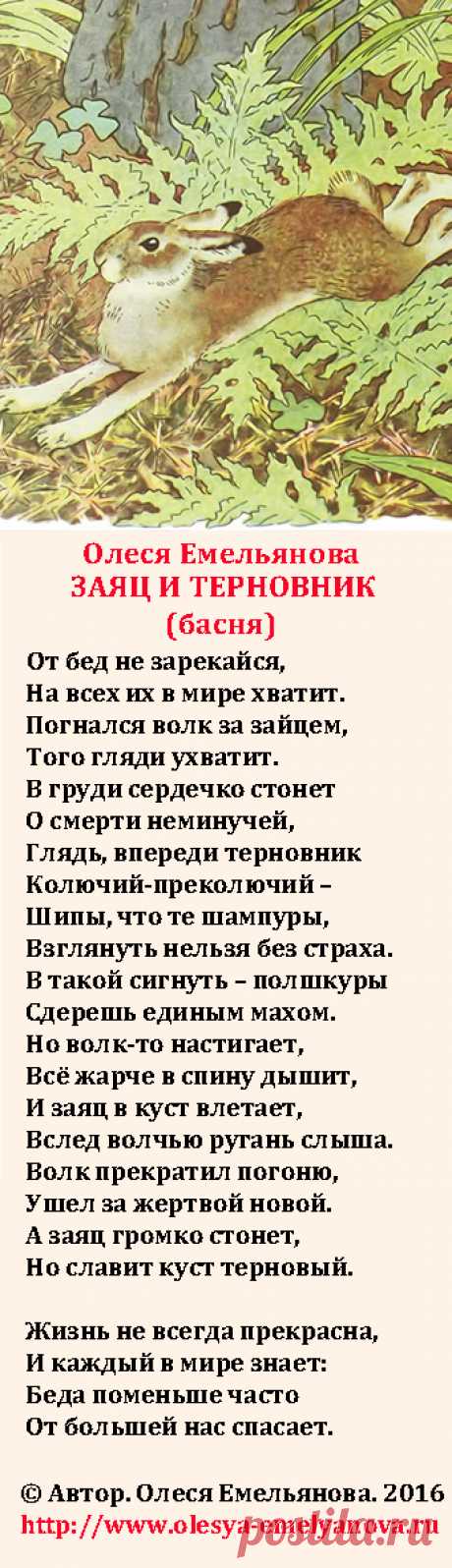 Олеся Емельянова. Заяц и терновник. Басня Олеси Емельяновой о выборе между двух зол, о спасении и жертвах.
