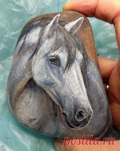 Рисунки