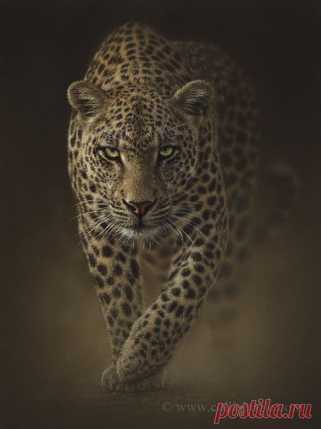 Дикарь - Картина Крадущегося Леопарда, Ручная Подписанная Художественная Печать Леопарда Коллина Богла – Collin Bogle Nature Art