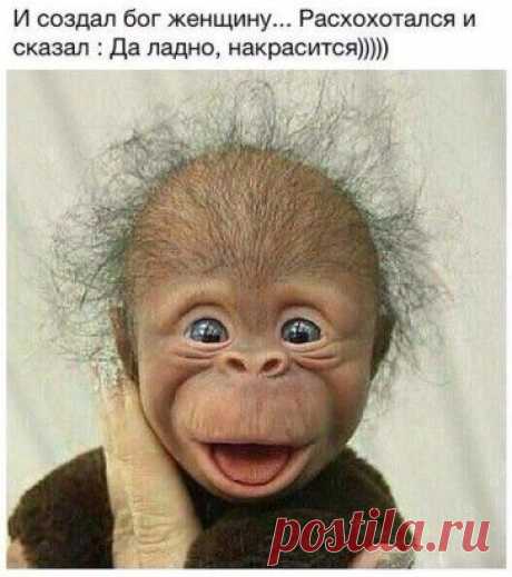 Блог сайта «Интересное из интернета»