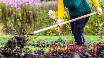 Биолог Лялина посоветовала людям с больным сердцем ограничить работу в огороде. Исполняющая обязанности декана факультета естественных наук Государственного университета просвещения Ирина Лялина рекомендовала людям с больным сердцем ограничить работу в огороде. Читать далее