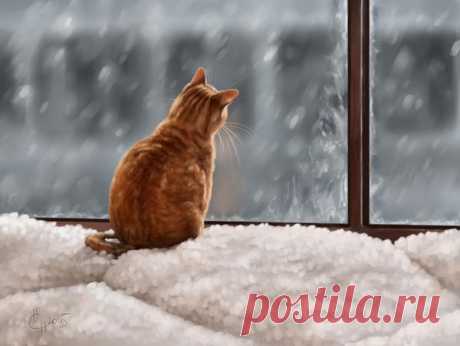 sad cat by Animal75Artist on DeviantArt