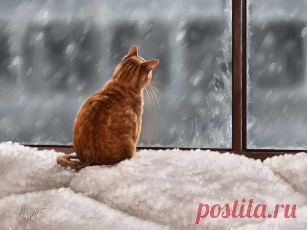 sad cat by Animal75Artist on DeviantArt