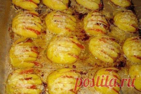 Картофельные ракушки | Книга рецептов