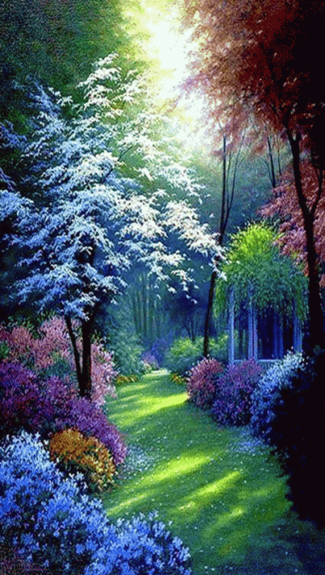 GiF WORLD – Google+