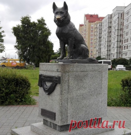 Памятник преданности – Клуб любознательных, пользователь Не в пирогах счастье | Группы Мой Мир