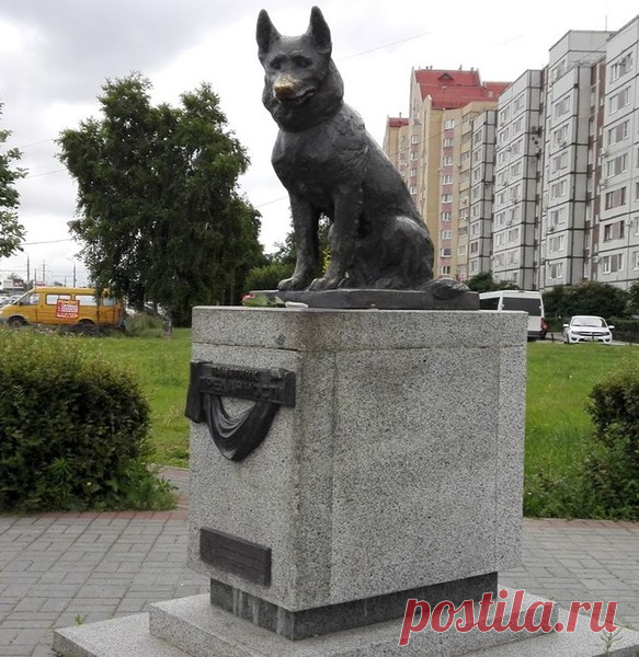 Памятник преданности – Клуб любознательных, пользователь Не в пирогах счастье | Группы Мой Мир