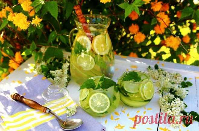 7 сочетаний для летних лимонадов - попробуйте! | Fresh.ru домашние рецепты | Яндекс Дзен