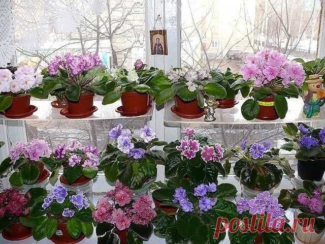 Одноклассники