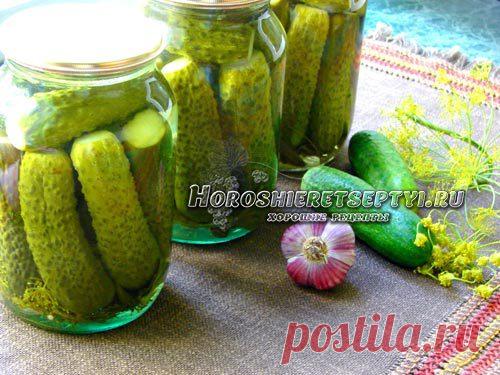 Огурцы на зиму без стерилизации
