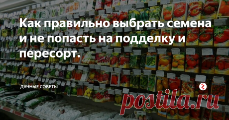 Как правильно выбрать семена и не попасть на подделку и пересорт. Довольно-таки часто садоводы приобретают некачественные семена,  из которых в дальнейшем вырастает плохая рассада или же не вырастает  вовсе. Какие меры необходимо предпринять, чтобы покупка была удачной?
Как выбрать качественные семена
Порой продавцы, предлагающие «качественные» семена, даже не  предполагают, что они на самом деле являются подделкой. Как правило,  семена у них 1-й репродукции, но