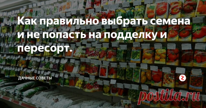 Как правильно выбрать семена и не попасть на подделку и пересорт. Довольно-таки часто садоводы приобретают некачественные семена,  из которых в дальнейшем вырастает плохая рассада или же не вырастает  вовсе. Какие меры необходимо предпринять, чтобы покупка была удачной?
Как выбрать качественные семена
Порой продавцы, предлагающие «качественные» семена, даже не  предполагают, что они на самом деле являются подделкой. Как правило,  семена у них 1-й репродукции, но
