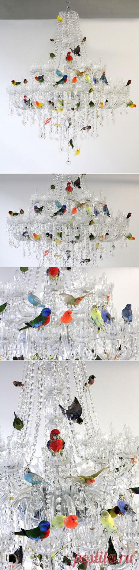 (+1) - Яркие птицы на хрустальной люстре от Sebastian Errazuriz | Интерьер и Дизайн