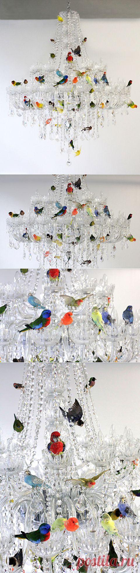(+1) - Яркие птицы на хрустальной люстре от Sebastian Errazuriz | Интерьер и Дизайн
