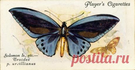 Декупаж в Кургане