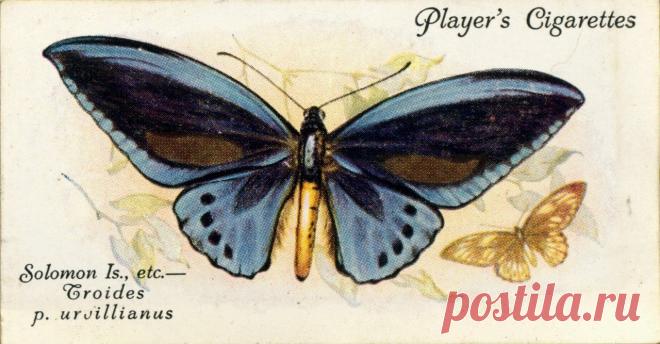 Декупаж в Кургане