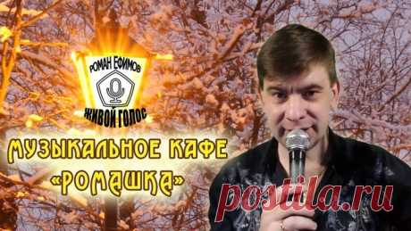 Музыкальное кафе "Ромашка" №516