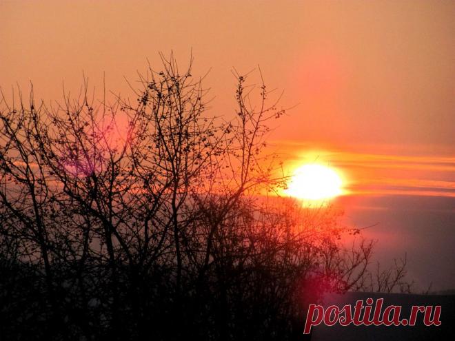 ФОТОМАСТЕРСКАЯ ПРИРОДЫ
Владимир Фефелов