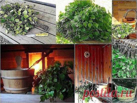 Банные веники и их полезные свойства.
Сохраните, чтобы не потерять!
У каждого из них есть свои особенности:
- Березовый, хорошо нагоняют жар, массируют кожу. Листья и почки, и 
кора, и сок березы обладают целебными свойствами, поэтому березовые 
веники так популярны в банях. Березовый веник незаменим при мышечных и 
суставных болях, например, после тяжелых физических нагрузок.
- Дубовый веник обладает успокаивающим и противовоспалительным эффектом и
 очень полезен для людей с высокой физичес