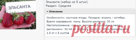 Личный кабинет