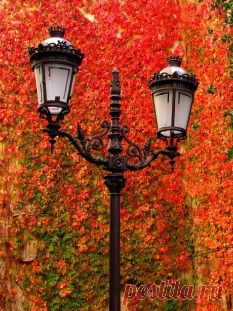 Найдено на сайте apoloniadelacour.tumblr.com.